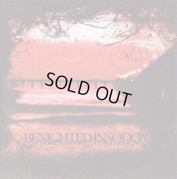 画像1: Benighted in Sodom - Hybrid Parasite Evangelistica / CD (1)