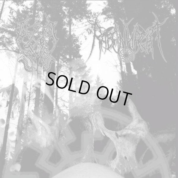 画像1: Gassturm / Rabennacht - Split / CD (1)