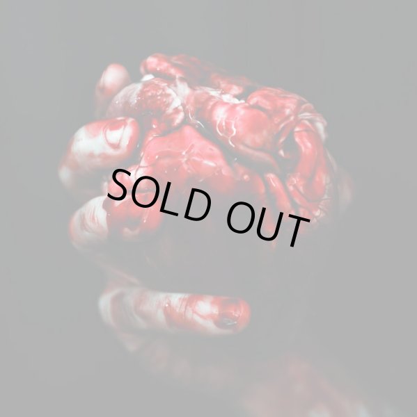 画像1: Forgotten Tomb - We Owe You Nothing / DigiCD (1)