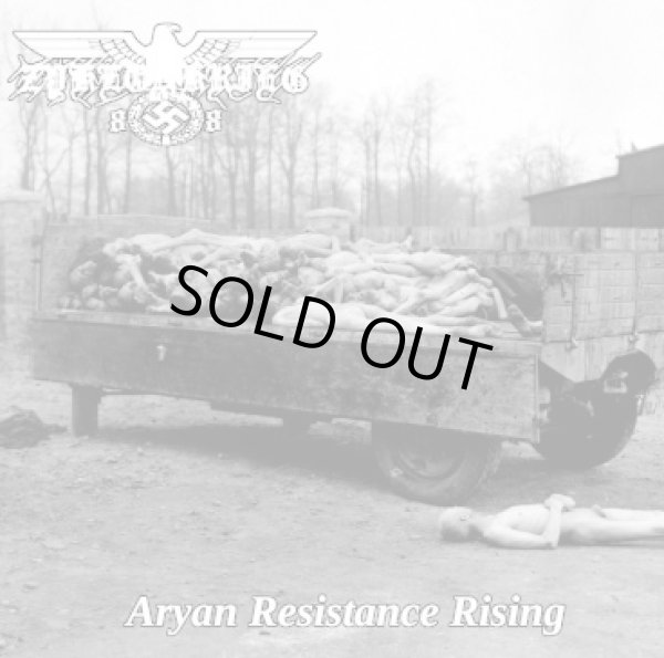 画像1: Zyklonkrieg 88 - Aryan Resistance Rising / CD (1)