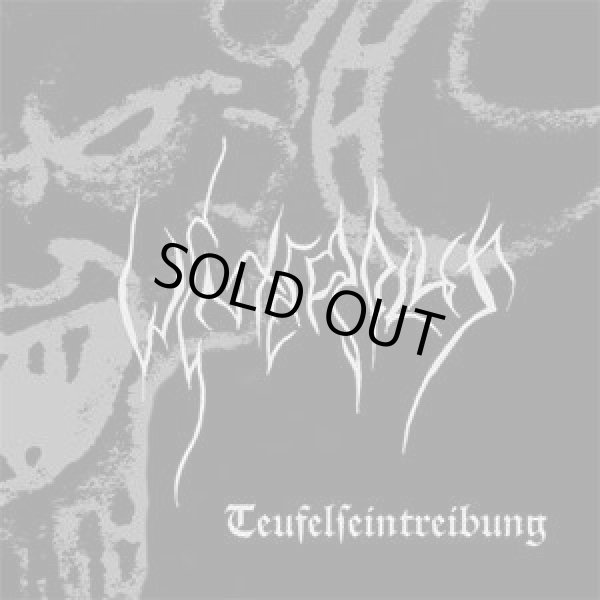 画像1: Winterblut - Teufelseintreibung / CD (1)