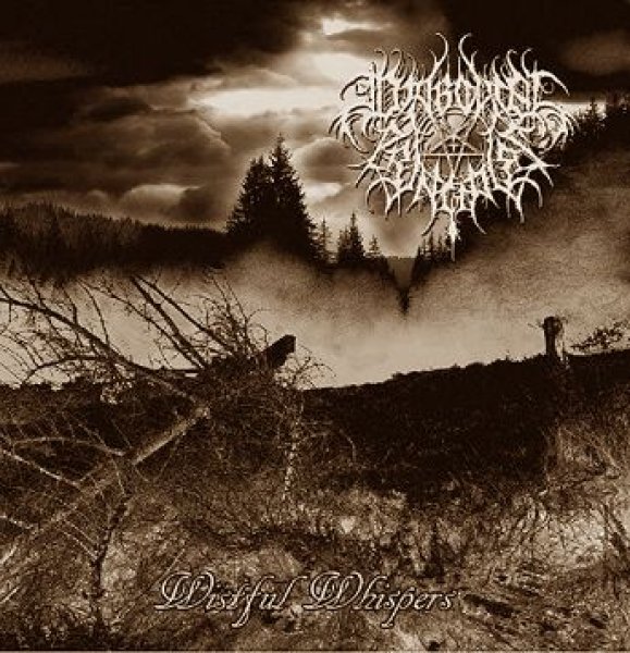 画像1: Diabolical Principles - Wistful Whispers / CD (1)