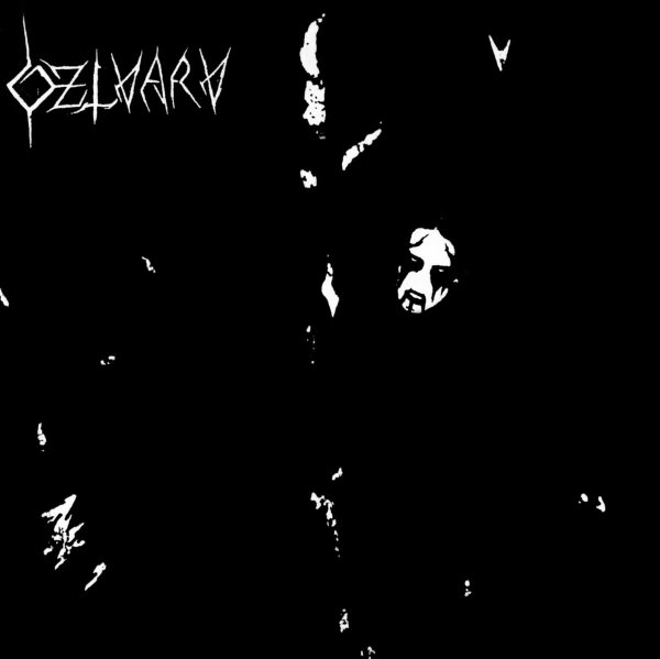 画像1: Dzlvarv - Dzlvarv / LP (1)