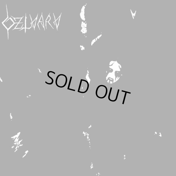 画像1: Dzlvarv - Dzlvarv / LP (1)