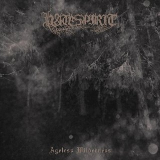 Sorcier Des Glaces - Sorcier Des Glaces / CD - Zero Dimensional