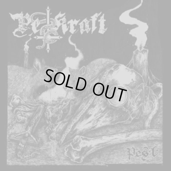 画像1: Pestkraft - Pest / DigiCD (1)