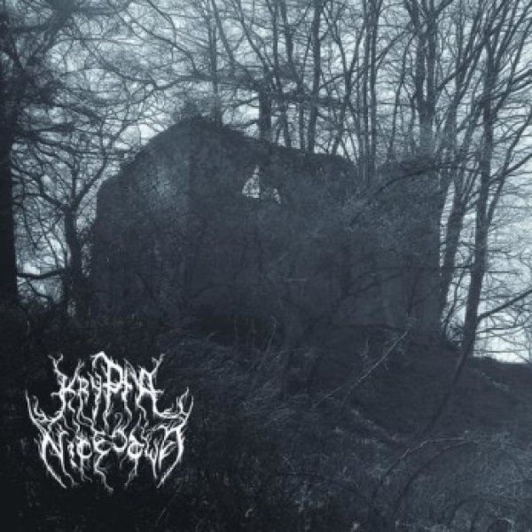 画像1: Gjaldur / Krypta Nicestwa - Von alten Grabern / Krypta nicestwa / CD (1)