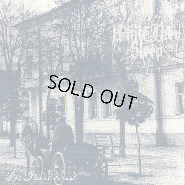 画像1: While They Sleep - Les fleurs du mal / CD (1)