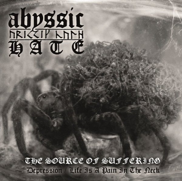 画像1: Abyssic Hate - The Source of Suffering / DigiCD (1)